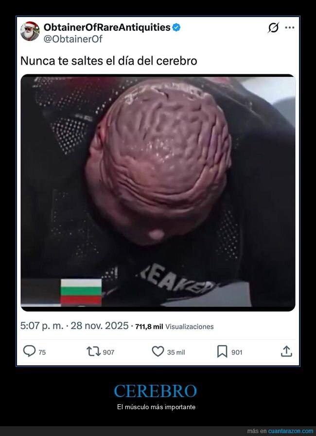 cabeza,cerebro,roca,wtf