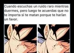 Enlace a Ruidos nocturnos