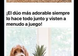 Enlace a Un niño y su perro se viralizan al ser fotografiados en estas divertidas imágenes