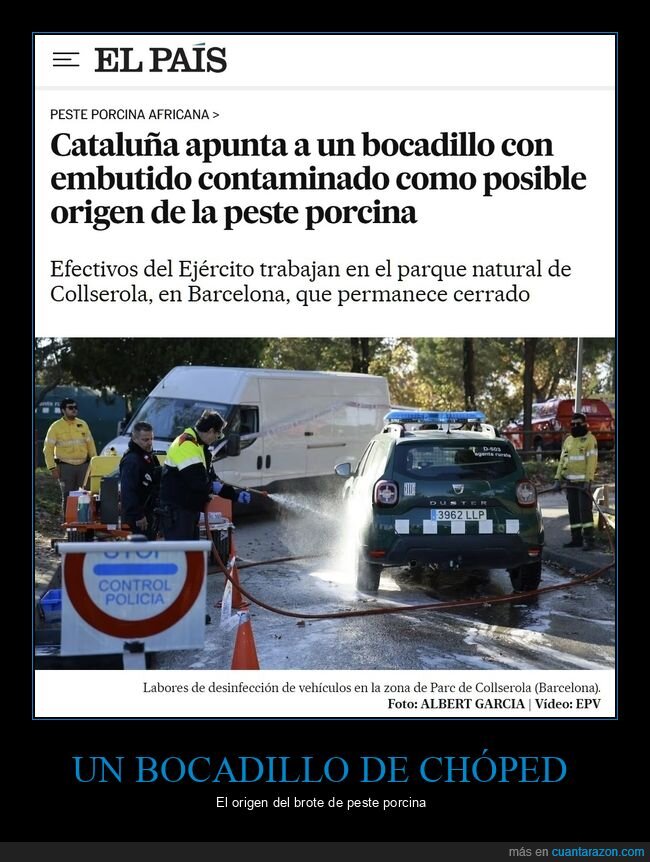 bocadillo,peste porcina