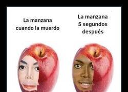 Enlace a Por eso hay que comérsela rápido