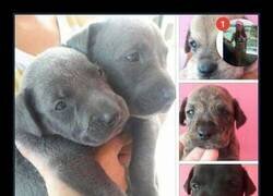 Enlace a Interés legítimo