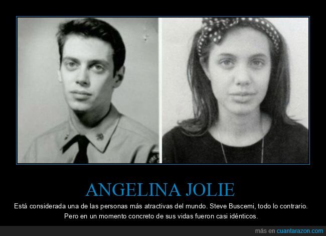 angelina jolie,parecidos,steve buscemi