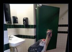 Enlace a Mejor esperar a que acabe...