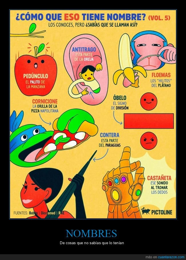 nombres,curiosidades