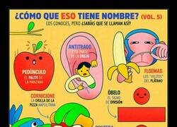 Enlace a Cosas que probablemente no sabías que tienen nombre