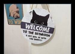 Enlace a El cartel no mentía