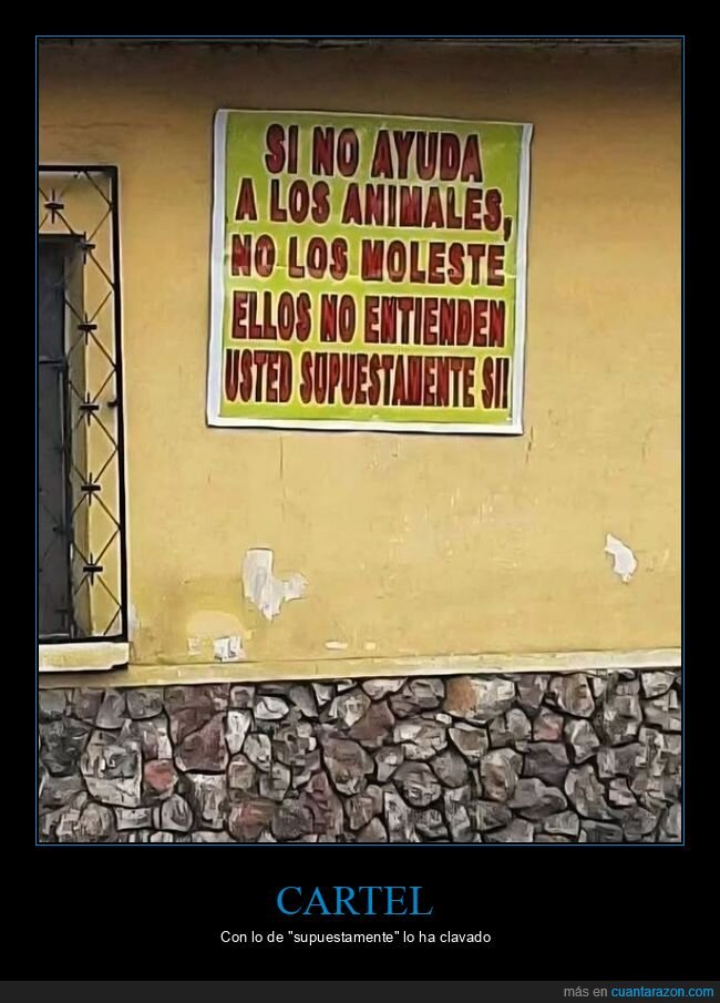 ayudar,animales,molestar,entender