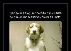 Enlace a Opiniones innecesarias