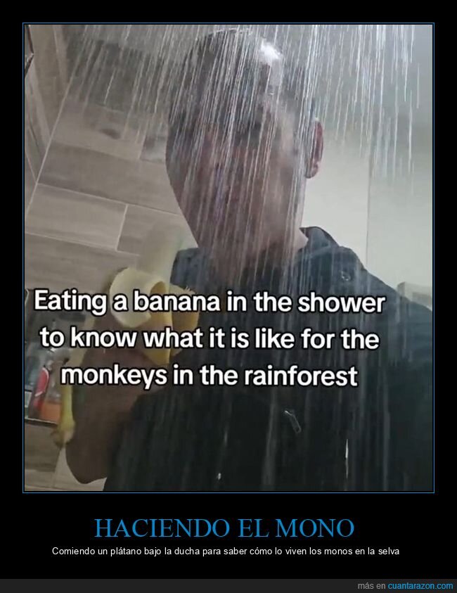 comiendo,plátano,ducha,monos,selva
