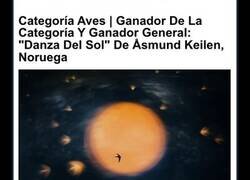 Enlace a Impresionantes imágenes ganadoras del concurso Fotógrafo de Naturaleza del Año 2025