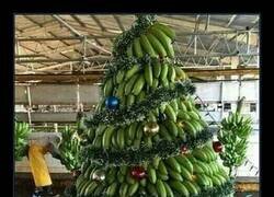 Enlace a Un árbol de navidad diferente