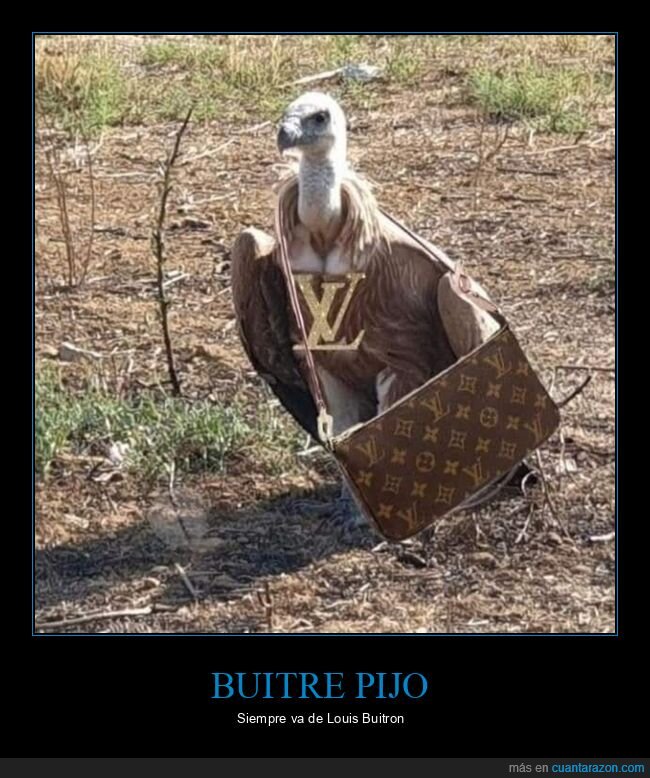 buitre,louis vuitton,louis buitron