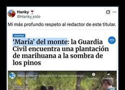 Enlace a Titular merecedor de un Pulitzer