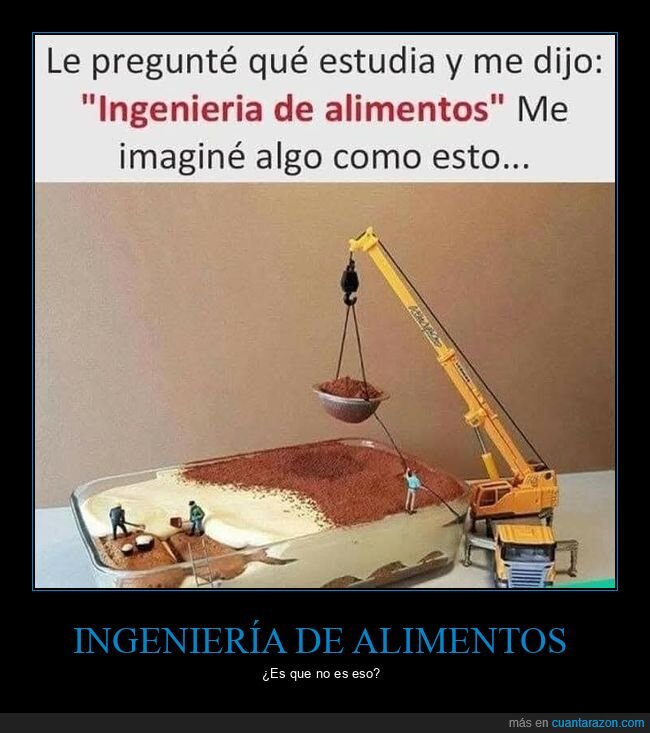 estudiar,ingenier&iacute;a de alimentos