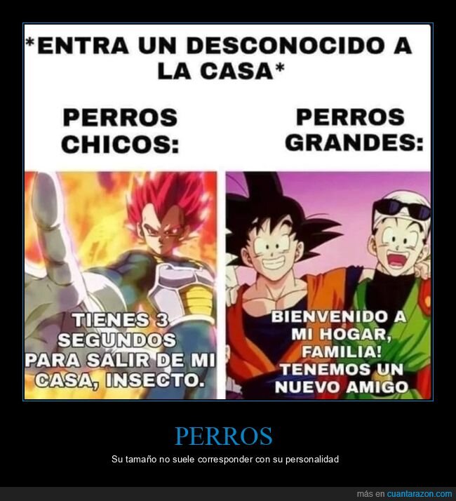 perros,grandes,pequeños