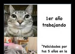 Enlace a Trabajos que te queman