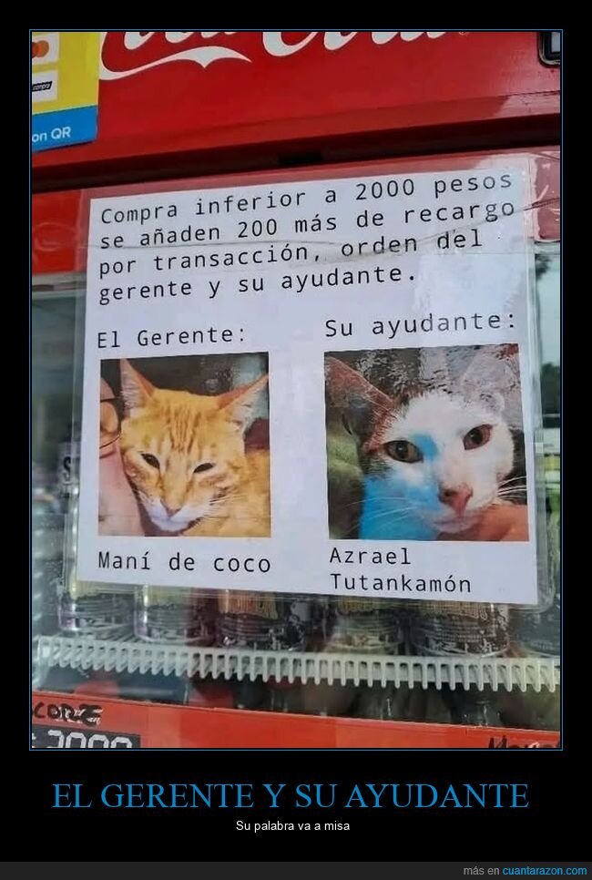 gerente,ayudante,gatos,carteles