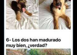 Enlace a Fotografías de perros que no han cambiado a pesar de haber crecido tanto