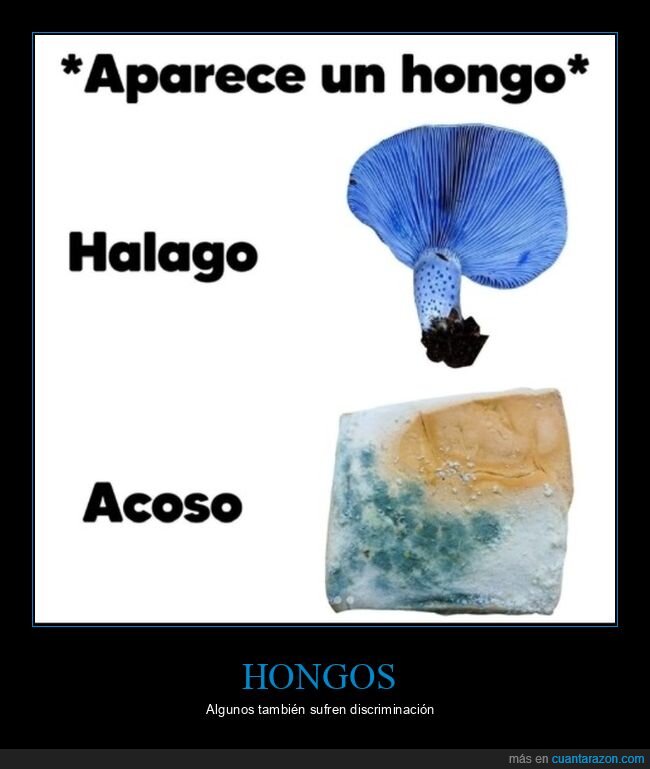 acoso,halago,hongo