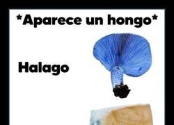 Enlace a No se les trata por igual