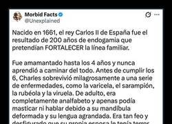 Enlace a Los estragos de la endogamia