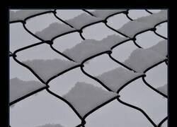 Enlace a Imagen confusa de primeras