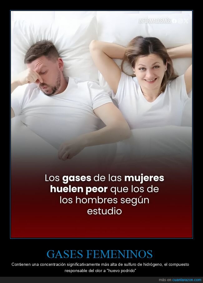 pedos,mujeres,olor