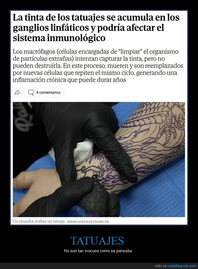 tinta,tatuajes,ganglios linfáticos,sistema inmunológico
