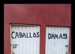 Enlace a ¿Y las yeguas?