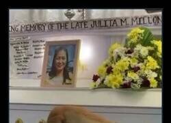 Enlace a Perrete de luto