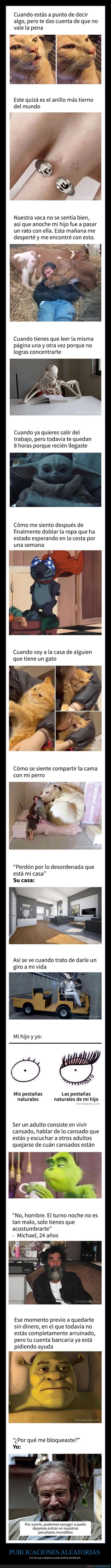 publicaciones aleatorias,identificarse