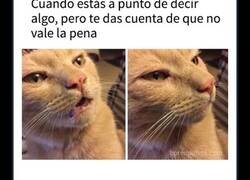 Enlace a Publicaciones divertidas que prueban que la humanidad comparte una sola neurona