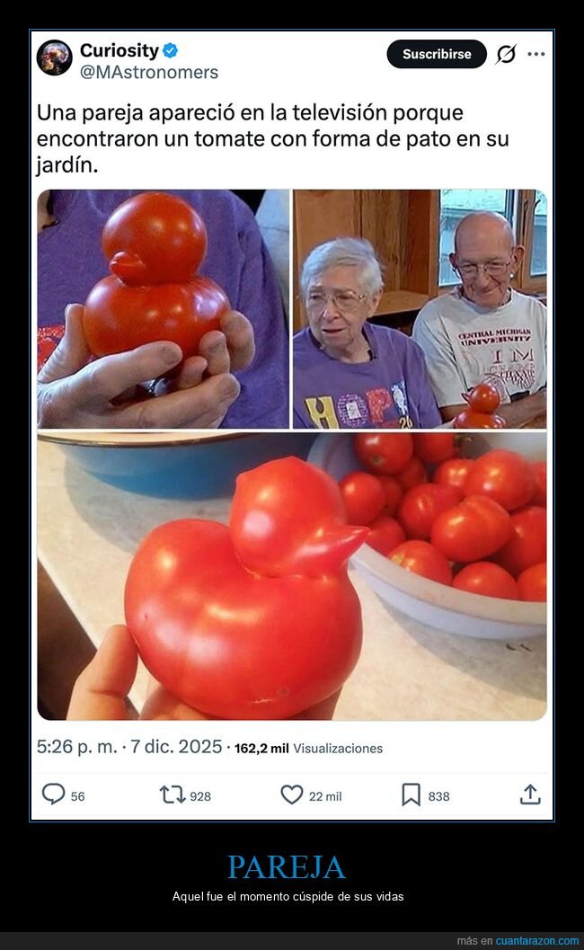 forma,pareja,pato,tomate