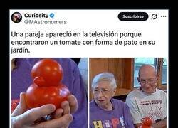 Enlace a Hallazgo sin precedentes