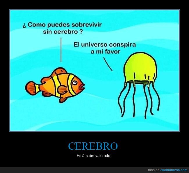 cerebro,medusa,universo