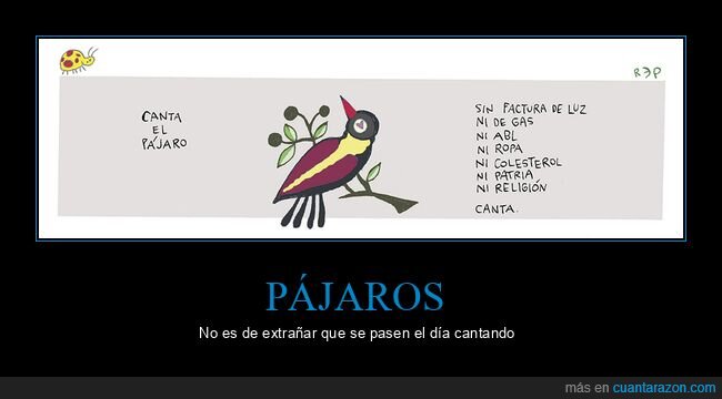 pájaro,cantar