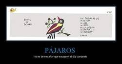 Enlace a Por eso cantan...