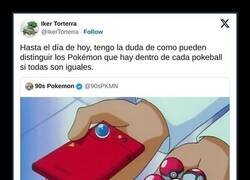Enlace a Duda Pokemon
