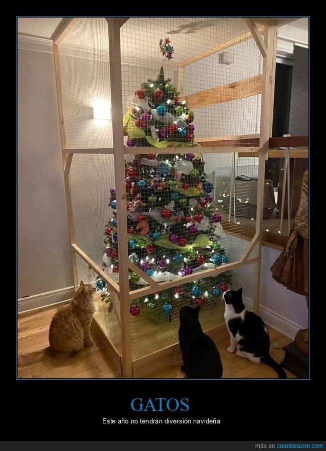 gatos,árbol de navidad