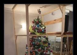 Enlace a Barrera antigatos