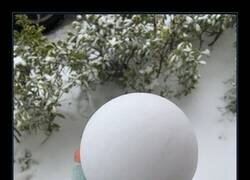 Enlace a La bola de nieve perfecta