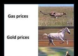 Enlace a Precios VS Salarios