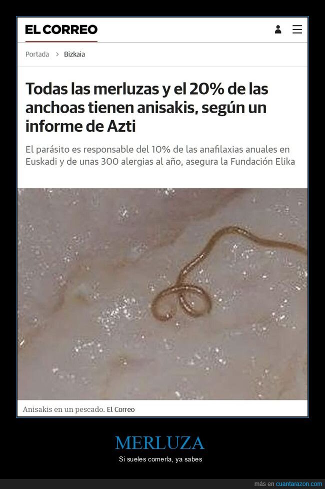 merluza,anchoas,anisakis