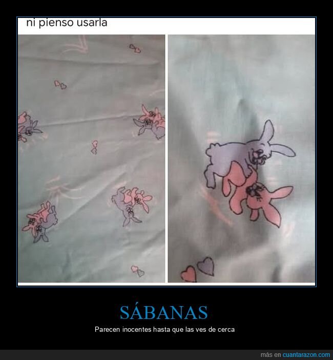 conejos,s&aacute;banas