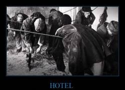 Enlace a Parece cómodo...