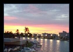 Enlace a Reivindicación callejera