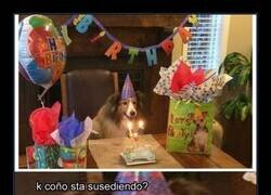 Enlace a Se le ve emocionado