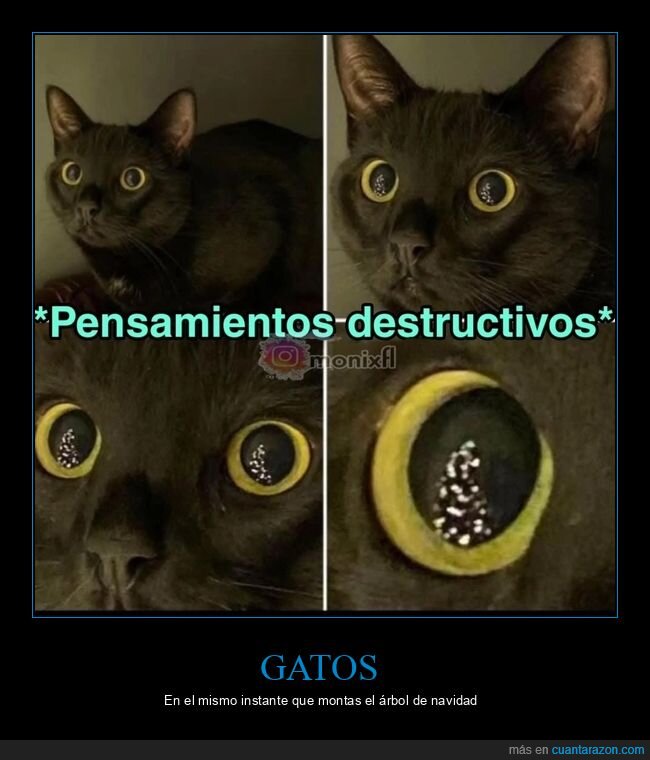gato,&aacute;rbol de navidad,pensamientos destructivos