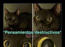 Enlace a Fijando su próximo objetivo